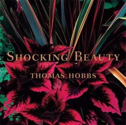 Shocking Beauty (Hardback) /anglais