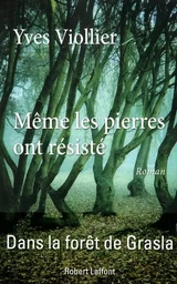 Même les pierres ont résisté