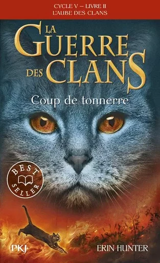 La guerre des Clans Cycle V - Tome 2 Coup de tonnerre - Erin Hunter - Univers Poche