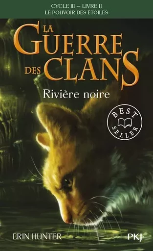 La guerre des Clans cycle III Le pouvoir des étoiles - tome 2 Rivière noire - Erin Hunter - Univers Poche