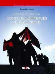 Conflits Politiques Et Democratie