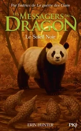 Les Messagers du Dragon, Cycle 1 - Tome 4 Le Soleil Noir