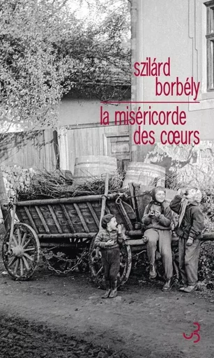 La miséricorde des coeurs - Szilárd Borbély - BOURGOIS