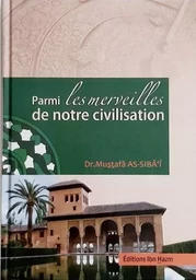 Parmi Les Merveilles De Notre Civilisation