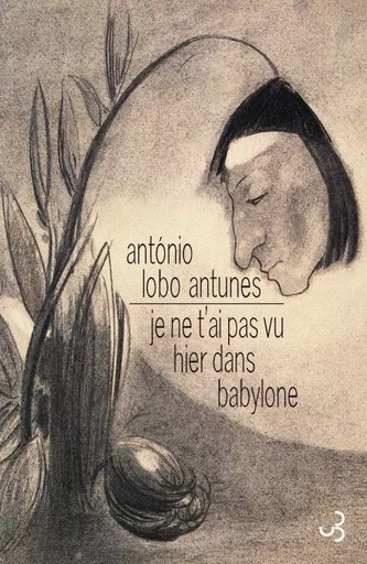 Je ne t'ai pas vu hier dans Babylone - António Lobo Antunes - BOURGOIS