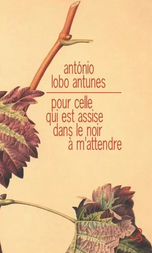 Pour celle qui est assise dans le noir à m'attendre - António Lobo Antunes - BOURGOIS