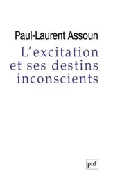 L'excitation et ses destins inconscients