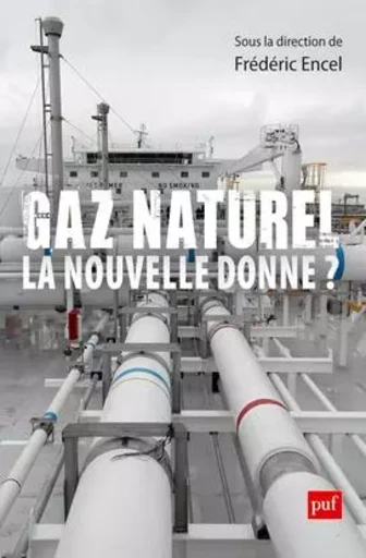 Gaz naturel, la nouvelle donne ? - François Lafargue, Raphaël H. Boroumand, Stephan Sylvestre, Thomas Porcher, Stéphane Goutte - PUF