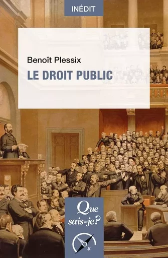 Le Droit public - Benoît Plessix - QUE SAIS JE