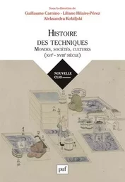 Histoire des techniques