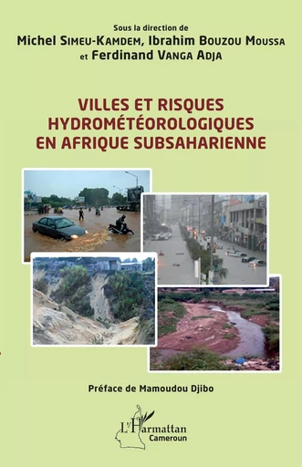 Villes et risques hydrométéorologiques en Afrique subsaharienne - Michel SIMEU-KAMDEM, Ibrahim Bouzou Moussa, Ferdinand Vanga Adja - Editions L'Harmattan