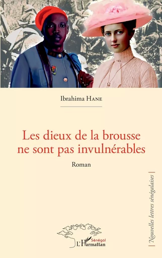 Les dieux de la brousse ne sont pas invulnérables - Ibrahima Hane - Editions L'Harmattan