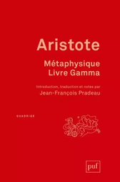 Métaphysique, livre Gamma