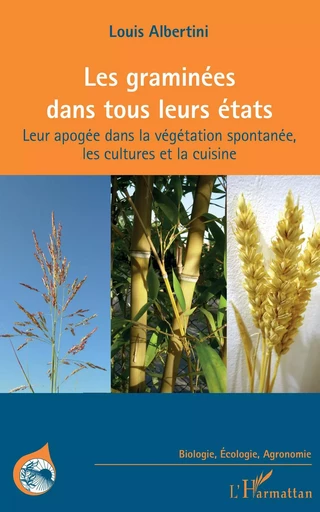 Les graminées dans tous leurs états - Louis Albertini - Editions L'Harmattan