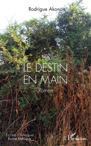 Le destin en main - Richard Rodrigue Akono - Editions L'Harmattan