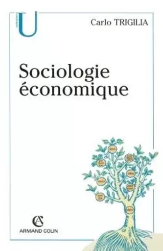 Sociologie économique - État, marché et société dans le capitalisme moderne - Carlo Trigilia - ARMAND COLIN