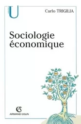 Sociologie économique - État, marché et société dans le capitalisme moderne