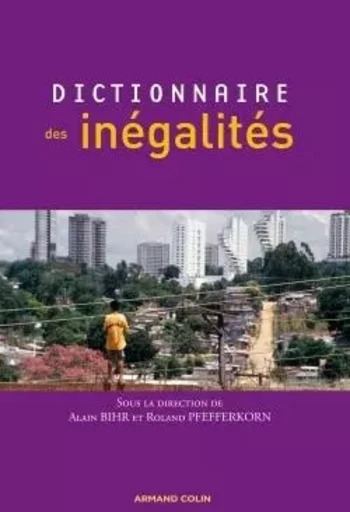 Dictionnaire des inégalités - Alain Bihr, Roland Pfefferkorn - ARMAND COLIN