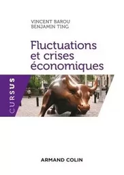 Fluctuations et crises économiques