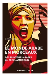 Le monde arabe en morceaux - 2e éd. - Des printemps arabes au recul américain