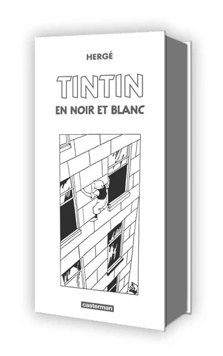 Tintin - Tintin, coffret -  Hergé - CASTERMAN