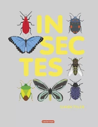 Insectes