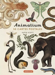 Animalium