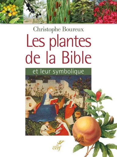 LES PLANTES DE LA BIBLE -  BOUREUX CHRISTOPHE - CERF