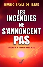 LES INCENDIES NE S'ANNONCENT PAS