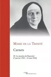 CARNETS, IV. LE MYSTÈRE DE PATERNITÉ