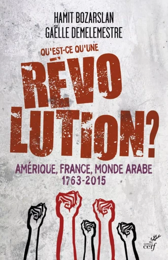 QU'EST-CE QU'UNE REVOLUTION ? - AMERIQUE, FRANCE,MONDE ARABE - 1763-2015 -  DEMELEMESTRE GAELLE,  BOZARSLAN HAMIT - CERF