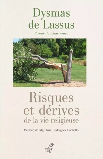 RISQUES ET DERIVES DE LA VIE RELIGIEUSE -  LASSUS DYSMAS DE - CERF