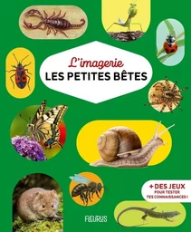 L'imagerie - Les petites bêtes