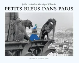 Petits bleus dans Paris