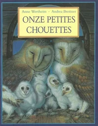 Onze petites chouettes