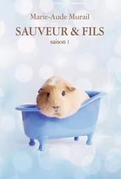 SAUVEUR & FILS SAISON 1 GRAND FORMAT