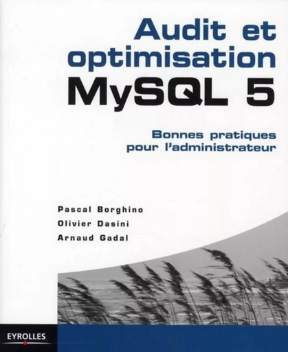 Audit et optimisation MySQL 5 - Pascal Borghino, Olivier Dasini, Arnaud Gadal - EYROLLES