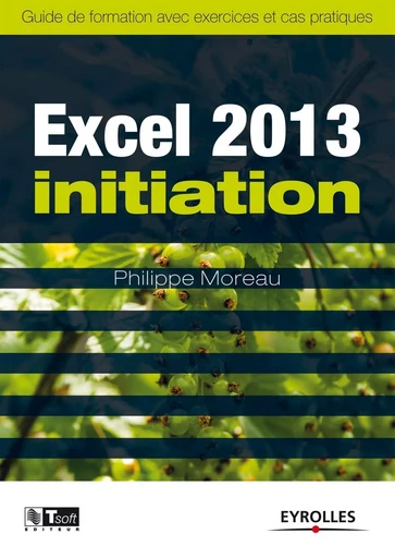 Excel 2013 Initiation - Philippe MOREAU - EYROLLES