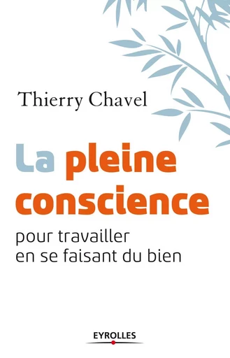 La pleine conscience pour travailler en se faisant du bien - Thierry Chavel - EYROLLES