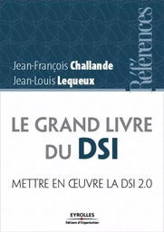 Le grand livre du DSI