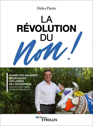 La révolution du non ! - Didier Pitelet - EYROLLES