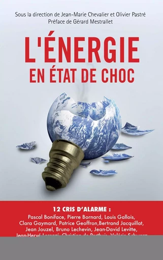 L'énergie en état de choc - Pascal Boniface, Jean-Hervé Lorenzi, Christian de Perthuis, Jean-Marie CHEVALIER, Patrice Geoffron, Olivier Pastré, Olivier Baud, Pierre Bornard, Louis Gallois, Clara Gaymard, Jean Jouzel, Bertrand Jacquillat, Bruno Léchevin, Jean-Daniel Levitte, Virginie SCHWARZ - EYROLLES