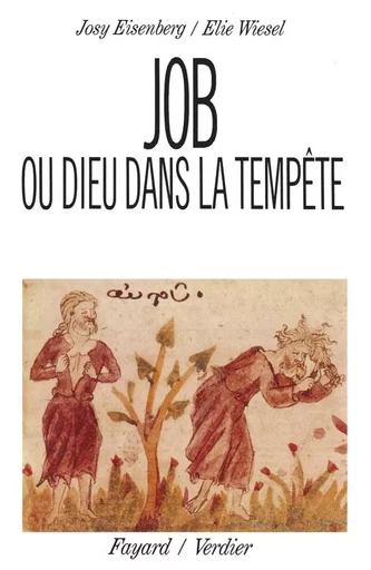 Job ou Dieu dans la tempête - Elie Wiesel, Josy Eisenberg - FAYARD