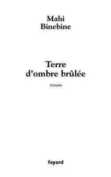 Terre d'ombre brûlée