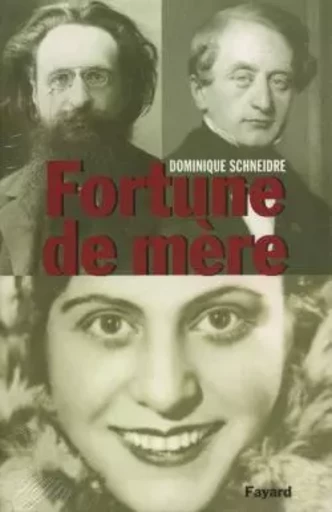 Fortune de mère - Dominique Schneidre - FAYARD