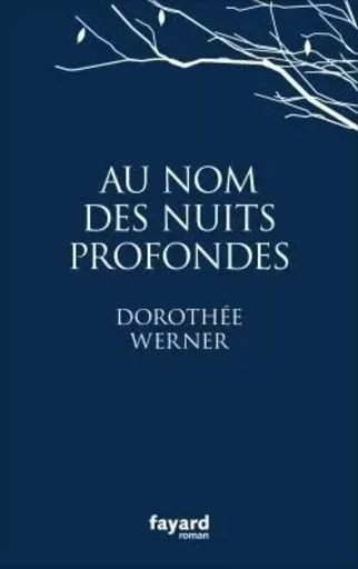 Au nom des nuits profondes - Dorothée Werner - FAYARD