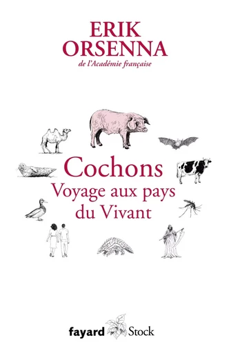 Cochons. Voyage aux pays du Vivant - Érik Orsenna - FAYARD