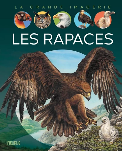 Les rapaces - Sabine Boccador - FLEURUS DOCUMENTAIRES