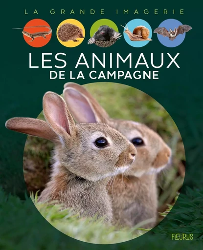 Les animaux de la campagne - Raphaëlle Chauvelot - FLEURUS DOCUMENTAIRES