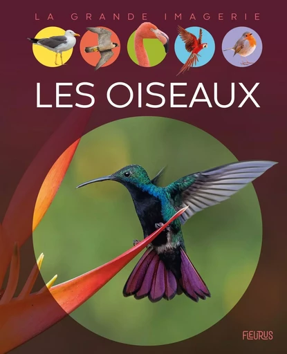 Les oiseaux - Raphaëlle Chauvelot - FLEURUS DOCUMENTAIRES